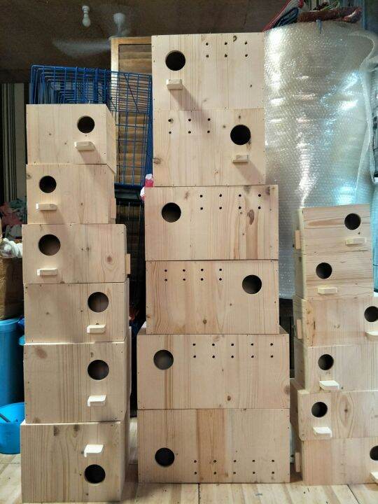 Nest Box ( Palotsina) | Lazada PH