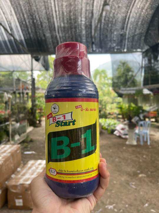 (FF 2) VITAMIN B1 (PENGGALAK AKAR POKOK) 1 LITER , 1 BOTTLE, AIRPLANT