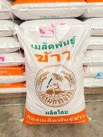 เมล็ดพันธ์ุข้าวปลูก กรมการข้าวเเท้100% ชั้นพันธ์ุขยาย (มะลิ105) (ข้าวเหนียว กข6) (มะลิดอ กข15) บรรจุ25กิโลกรัม