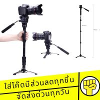 YUNTENG ขาตั้งโมโนพอด ขาตั้งกล้อง YUNTENG รุ่น VCT-288 Photo Video Aluminum Monopod (Black)