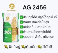 เมล็ดพันธุ์ข้าวโพด AG2456 ขนาด 3.5 หุน