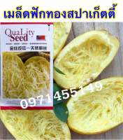 เมล็ดฟักทองสปาเก็ตตี้ 20เมล็ด spaghetti squash Original Packaging สายพันธุ์ OP