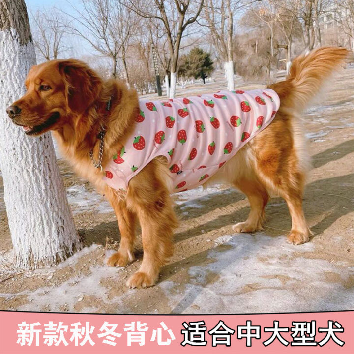 Large Dog Gucci Clothes Labrador Golden Retriever Thin Clothes Anti-Hair  Fall Winter Clothes