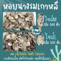 ส่งฟรีทั่วไทย ? หอยนางรมสด หอยนางรมเกาหลี มี2ขนาด ยกลัง ตรงปก ?? หอยนางรมแช่แข็ง หอยนางรม หอย oyster ส่งทั่วไทย