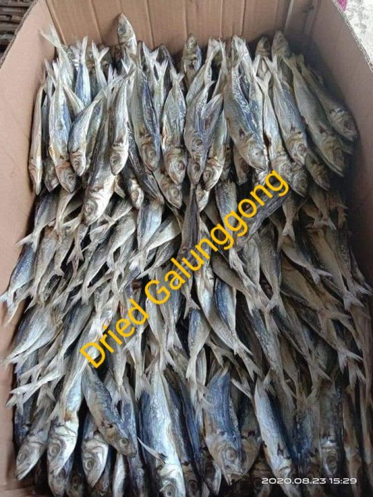 Filipino Tuyo Galunggong Fish 12 Kilo Lazada Ph