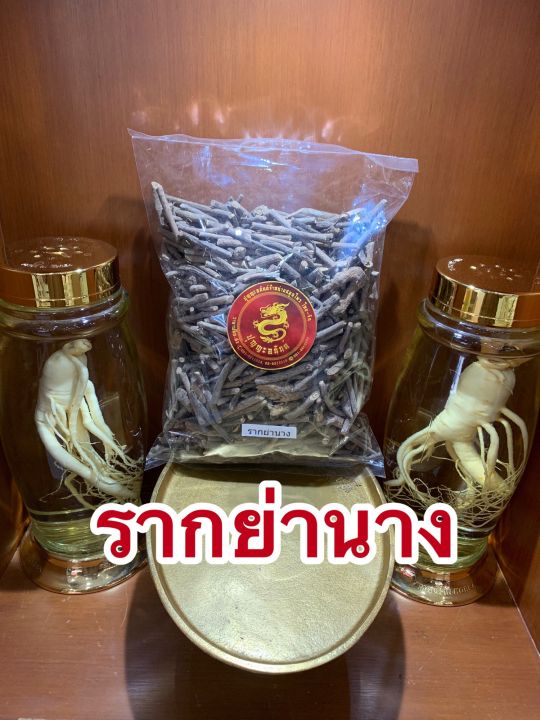 รากย่านาง-ย่านาง-หญ้านางหนึ่งในห้ารากบรรจุ500กรัมราคา120บาท