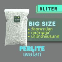 Perlite วัสดุปลูกแบ่งบรรจุ เพอร์ไลท์ วัสดุเพาะ ต้นกล้า แคคตัส กระบองเพชร ไม้ประดับ