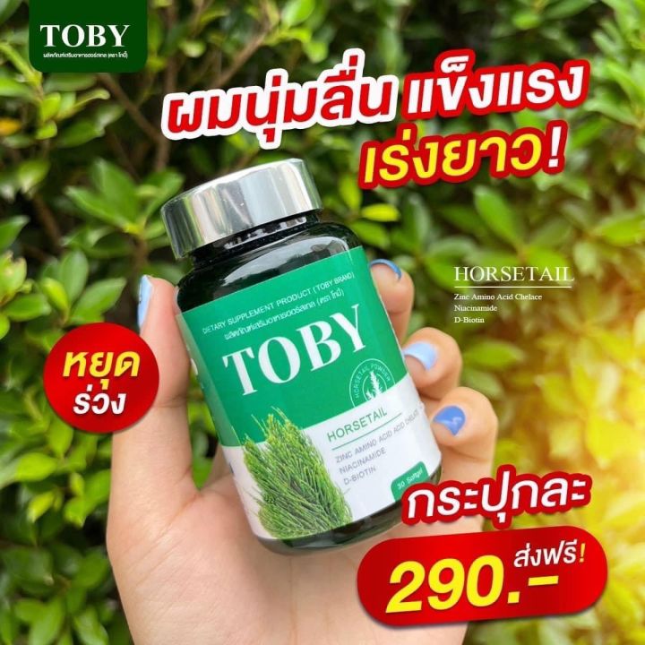 toby-หญ้าหางม้า-วิตามินคนผมร่วง-ผมบาง-ฟื้นฟูบำรุงรากผมให้แข็งแรง-ลดอาการคันหนังศ