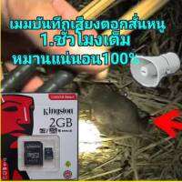 เสียงตอกสั่นหนู เมมเสียงตอกสั่นหนู เสียงชัด100% พร้อมใช้งาน