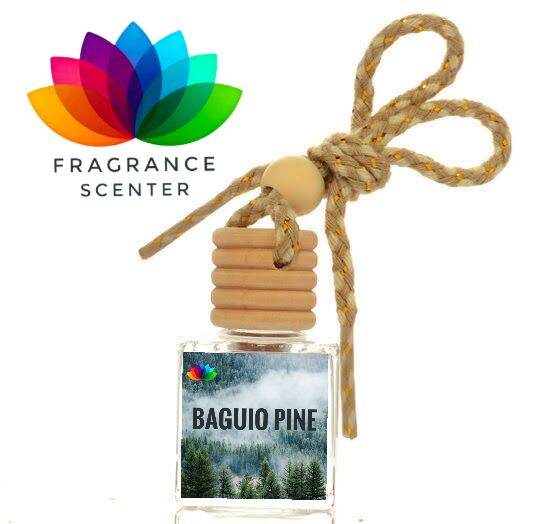 Baguio Pine Car Air Freshener Lazada PH