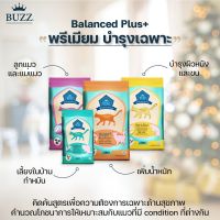 [3 kg] Buzz Balanced+  Kitten, Hair &amp; Skin, weight และ indoor, อาหารแมว บัซซ์  สูตรลูกแมว, ลดขนร่วง, เลี้ยงในบ้าน