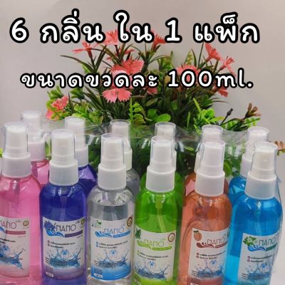 ยกแพ็ก พร้อมส่ง สเปรย์แอลกอฮอล์ 74% แบบฉีดขนาด 100ml. 1 แพ็ก มี12 ขวด มี 6 กลิ่น มีเลขจดแจ้ง วันผลิตและวันหมดอายุ