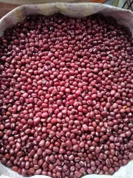 Shop Fresh Harbest Munggo Beans with great discounts and prices