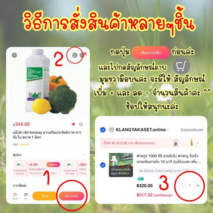 ไทอะมีทอกแซม-100-กรัม-สารกำจัดเพลี้ยแป้ง-เพลี้ยไฟ-เพลี้ยหอย-เพลี้ยไก่แจ้-ยากำจัดเพลี้ย