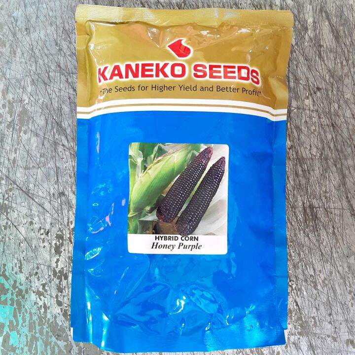 Where To Buy Corn Seeds For Planting