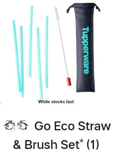 Tupperware Spare Part Straw For Straw Eco Bottle 750ml 1 Pcs Lazada