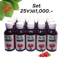 NT Syrup น้ำเชื่อมเข้มข้นตราเอ็นที ( 25 ขวดครึ่งลัง 1000- )