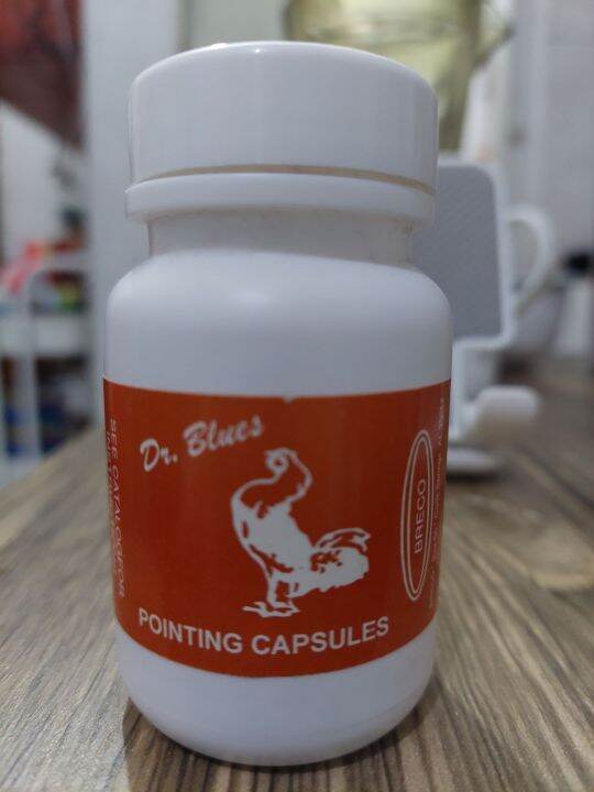 Dr.Blues Pointing Capsule for Gamefowl Lazada PH