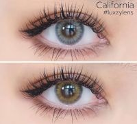 คอนแทคเลนส์ ?California (Luxzylens)? Gray / Brown [มีค่าสายตาสั้นถึง 700]?สีเทา/สีน้ำตาลขนาดมินิเซ็กซี่คมขายดี