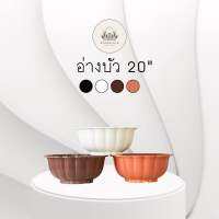 อ่างบัวปากจีบ 20นิ้ว