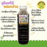 จุลินทรีย์หน่อกล้วย 500ml ปุ๋ยชีวภาพ สารพัดประโยชน์