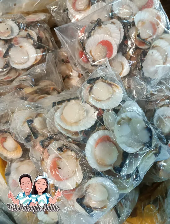 Scallop Half Shell, Scallop 1kg Lazada PH