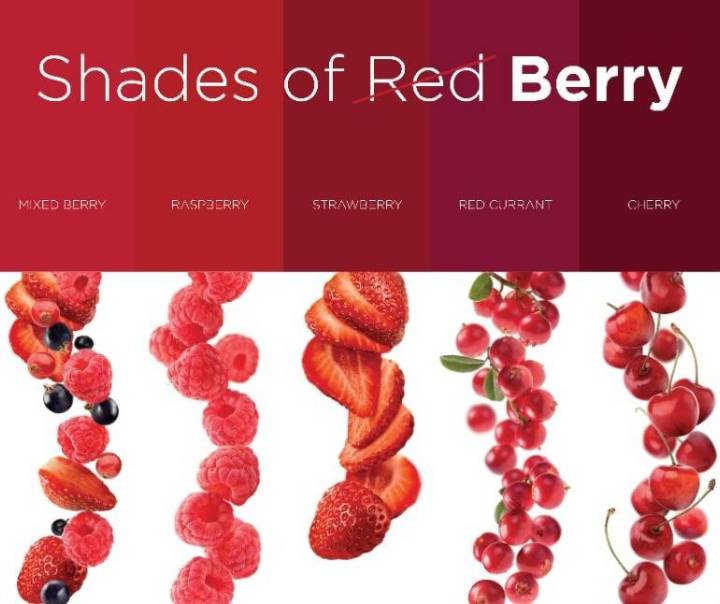 แบ่งขาย-syrups-1883-shades-of-red-berry-สินค้าของแท้จากฝรั่งเศส