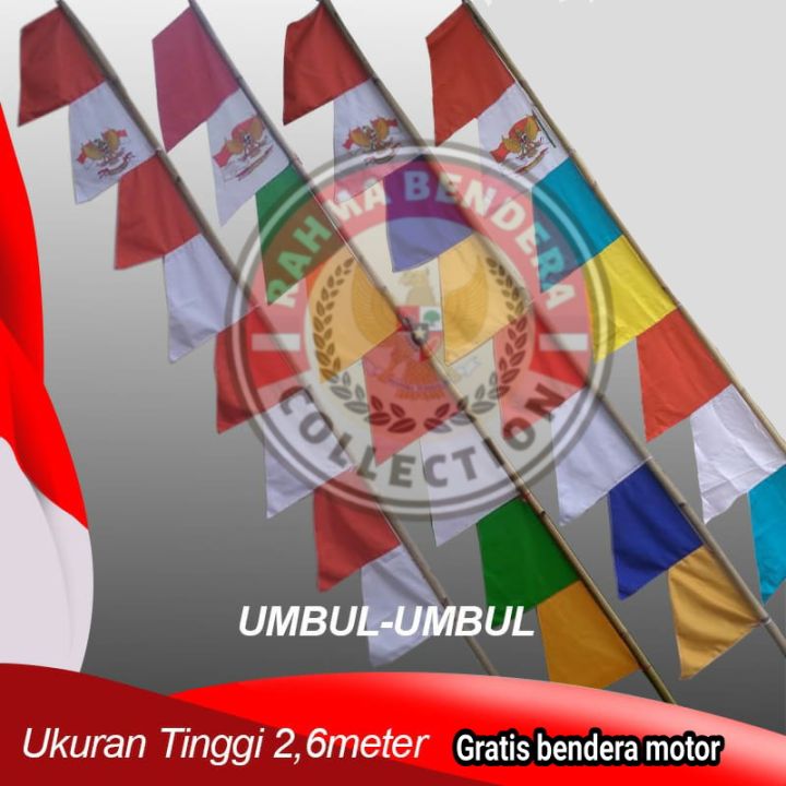 Bendera Umbul Umbul Warna Warni Bendera Umbul Umbul Gergaji Pcs Lazada Indonesia