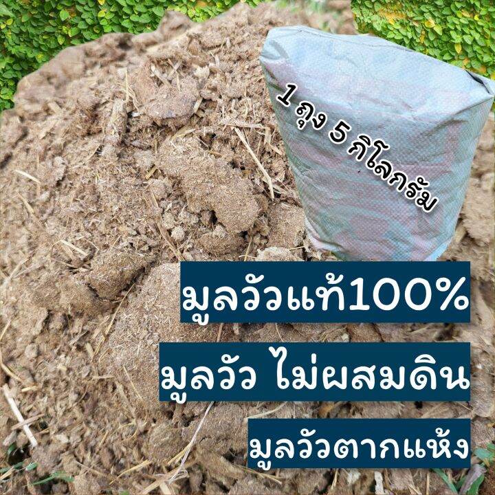 ด่วน-มูลวัว-ขี้วัว-ขี้วัวตากแห้ง-5-กิโลกรัมต่อ1กระสอบ-มูลวัวแท้ๆไม่ผสมดิน-ใส่ต้นไม้เจริญงอกงาม-ทำให้ดินร่วนซุย