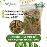 สแฟกนั่มมอส Sphagnum Moss เหมาะกับการอนุบาลไม้ ชำไม้