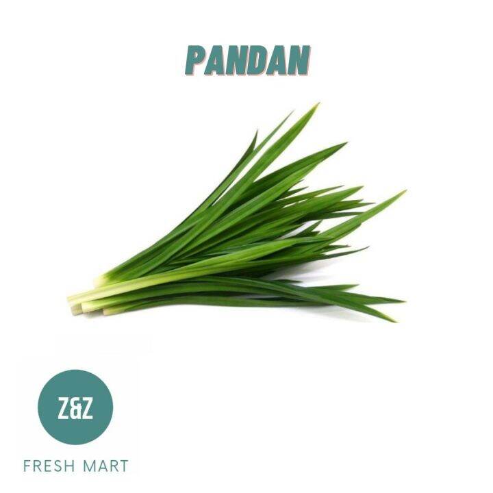 Fresh Pandan Leaf Lazada