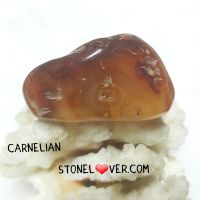 #Carnelian 
#หินขัดมันคาร์เนเลี่ยน

Carnelian/คาร์เนเลี่ยน "เทวีแห่งความอุดมสมบูรณ์ ช่วยเรื่องการเงินและสุขภาพ