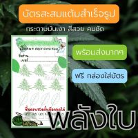 บัตรสะสมแต้ม kratom &amp; cancha บัตรสะสมส่วนลด ราคาไม่แพง