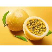 เมล็ดพันธุ์ เสาวรส สีเหลืองทอง ปานามา (Golden Passion Fruit Panama Seed) บรรจุ 10 เมล็ด