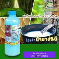 ฟินพารา