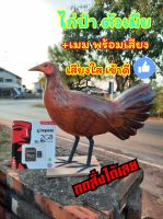 ไก่ป่า ไก่ป่าตัวเมียพร้อมเสียง หุ่นไก่ป่าปลอม มีบริการเก็บปลายทาง