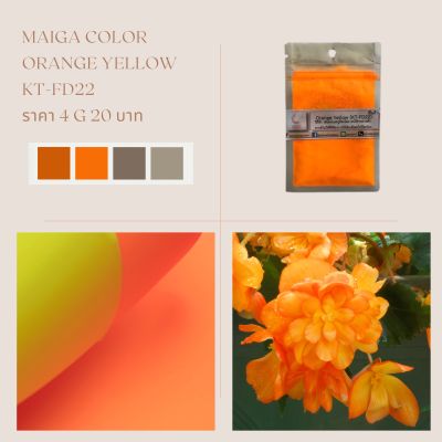 สีไมก้า KT-FD22 (สีส้มสะท้อนแสง) บรรจุ 4 กรัม