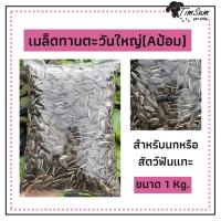 เมล็ดทานตะวัน สำหรับ นก หนู สัตว์ฟันแทะ แบบแบ่ง 1kg  Aป้อม