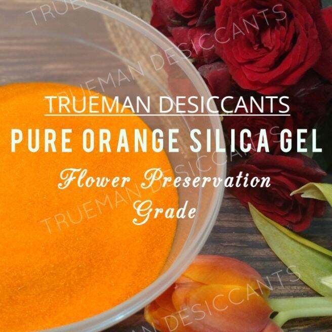 1 kg Flower Preservation Kit Lazada PH