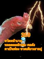 หน้าบวมหลอดลมอักเสบ คอดังตาเป็นฟองขี้เขียวขี้ขาว