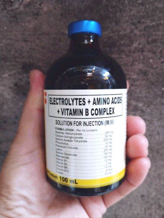 Electrolytes + Amino Acids + Vatamin B Complex (100ml) Lazada PH