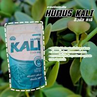 ฮิวมัสคาลี (Humus Kali) ฮิวมัสคาลี สารอินทรีย์สกัดชนิดเข้มข้นสูตรพิเศษ