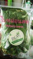 ใบหม่อนสด(Mulberry Leaves) ปลอดสารพิษ จำนวน50ใบ เก็บสดๆตอนรับออเดอร์เลยค่ะ