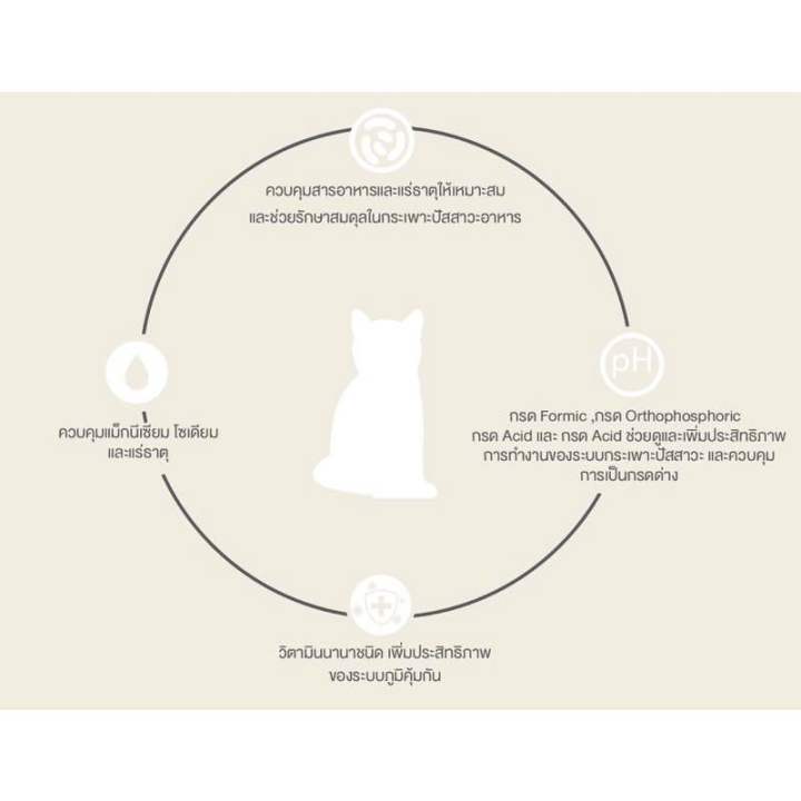 petheria-เพ็ทเทอเรีย-อาหารแมว-ป้องกันนิ่ว-ut-function-สูตรดูแลกระเพาะปัสสาวะ-สำหรับแมวโต-ขนาด-1-5-kg
