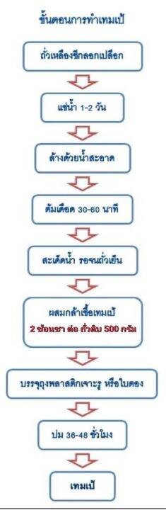 หัวเชื้อเทมเป้-เตมเป-รากิ-50-กรัม