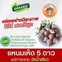 แหนมเห็ด 5 ดาว ออร์แกนิค แม่การะเกด วังน้ำเขียว สด สะอาด อร่อยกลมกล่อม ปลอดสารพิษและปลอดเชื้อโรค