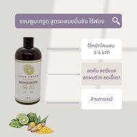 แชมพูมะกรูดกู๊ดกรูด ผสมขมิ้นชัน ไร้ฟอง ขนาด 500ml. แก้คัน ขจัดรังแค ลดผมร่วง