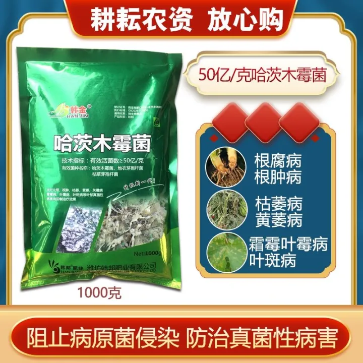 Trichoderma Harzianum T-22 哈茨木霉菌 T-22 Ready stock 高菌量 1KG 50亿/Gram ...