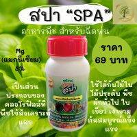 รุ่งโรจน์ สปา SPA อาหารพืช สำหรับฉีดพ่น ใบเขียวเงางาม ต้นสมบูรณ์แข็งแรง Mg แมกนีเซียม 3%