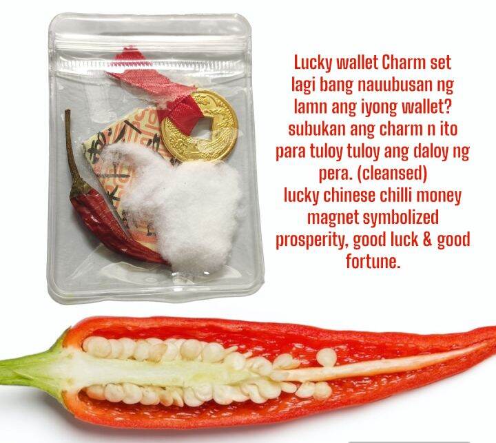 Lucky wallet charm red chinese chilli money cleansed Lazada PH
